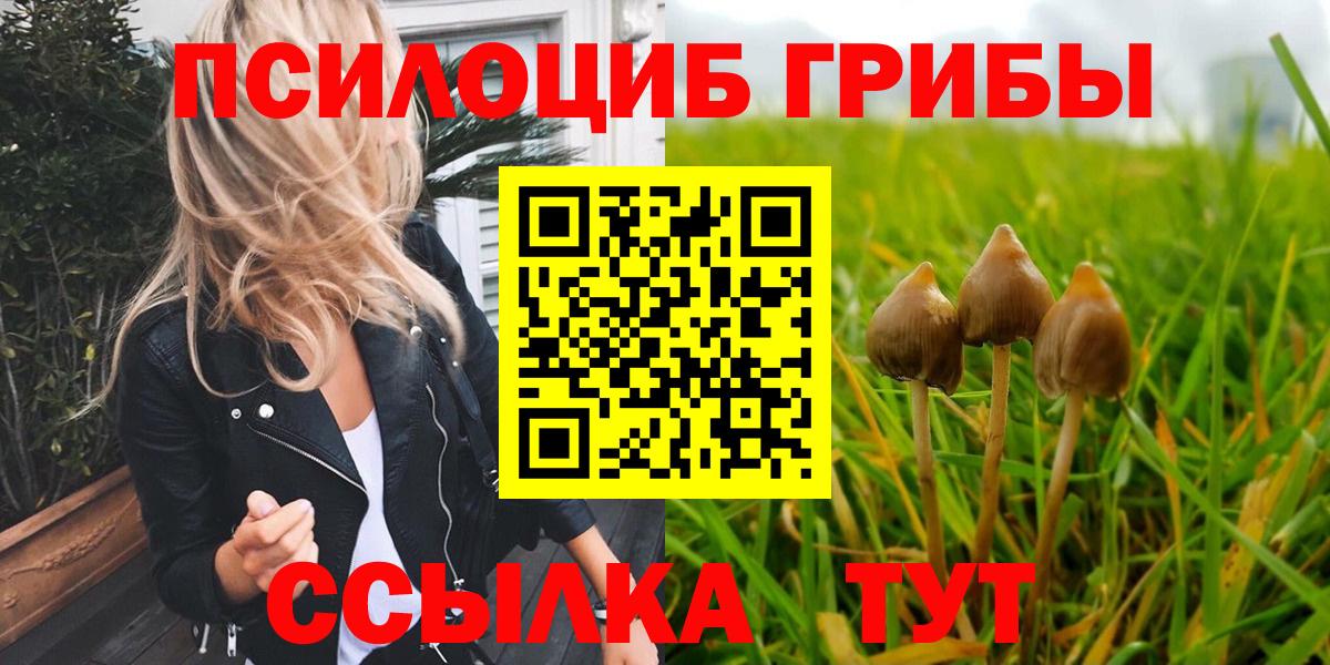где купить   Вход с VPN  Вышний Волочёк  Галлюциногенные грибы Magic Shrooms 